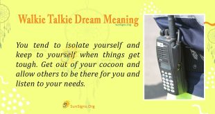 Walkie Talkie Dream Meaning