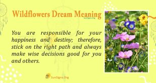 Wildflowers Dream Meaning