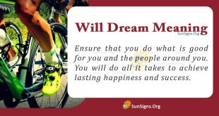 Will Dream Meaning