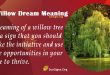 Willow Dream Meaning
