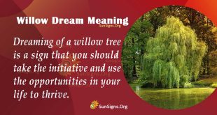 Willow Dream Meaning