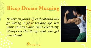 Bicep Dream Meaning