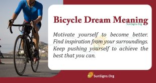 Bicycle Dream Meaning