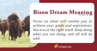 Bison Dream Meaning