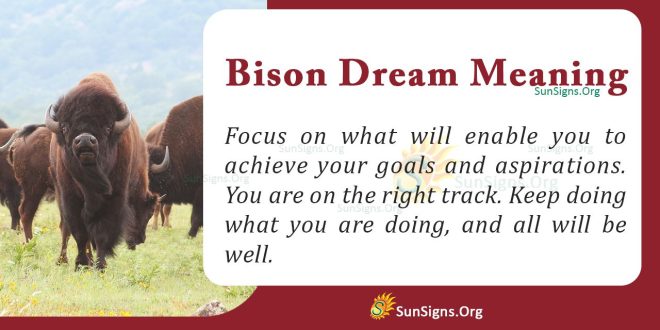 Bison Dream Meaning