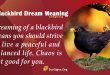 Blackbird Dream Meaning