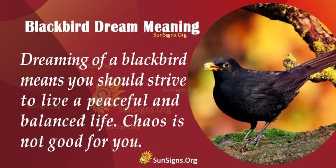 Blackbird Dream Meaning