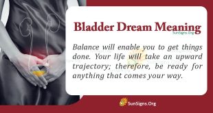 Bladder Dream Meaning