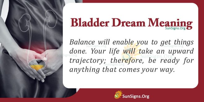 Bladder Dream Meaning