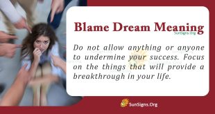 Blame Dream Meaning