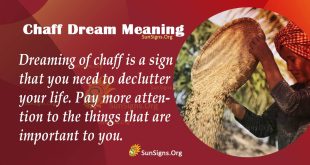 Chaff Dream Meaning