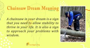 Chainsaw Dream Meaning