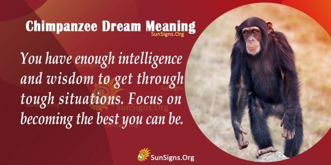 Chimpanzee Dream Meaning