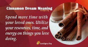 Cinnamon Dream Meaning