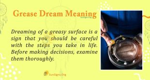 Grease Dream Meaning