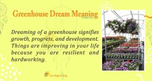 Greenhouse Dream Meaning