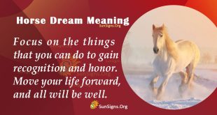 Horse Dream Meaning