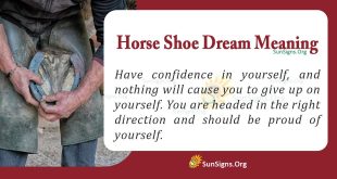 Horse Shoe Dream Meaning