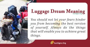 Luggage Dream Meaning