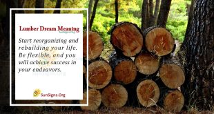 Lumber Dream Meaning