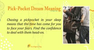 Pick-Pocket Dream Meaning