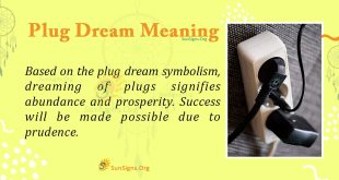 Plug Dream Meaning