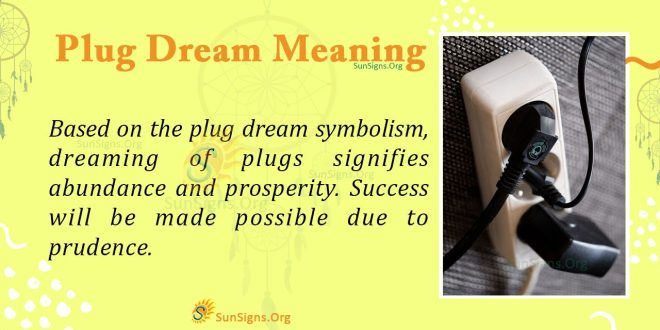 Plug Dream Meaning