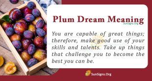 Plum Dream Meaning