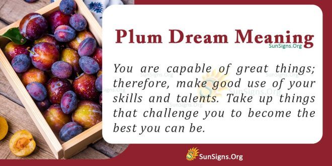 Plum Dream Meaning