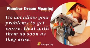 Plumber Dream Meaning