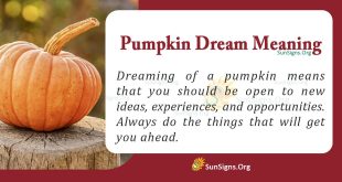 Pumpkin Dream Meaning