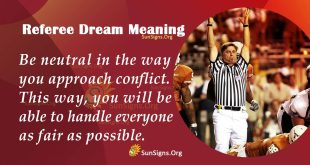 Referee Dream Meaning