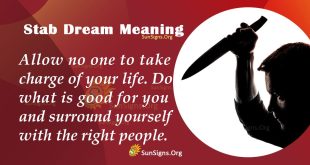 Stab Dream Meaning