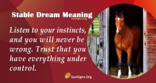 Stable Dream Meaning