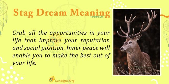 Stag Dream Meaning