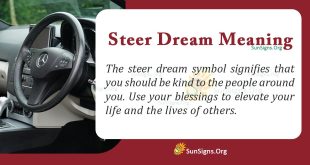 Steer Dream Meaning