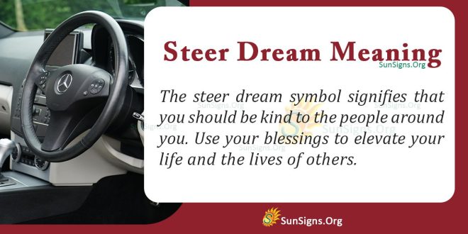 Steer Dream Meaning