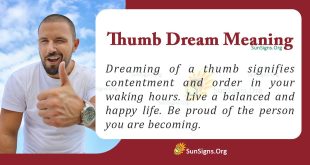 Thumb Dream Meaning