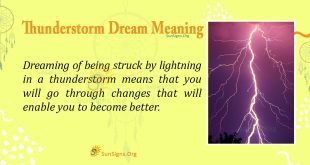 Thunderstorm Dream Meaning