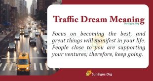 Traffic Dream Meaning