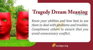 Tragedy Dream Meaning