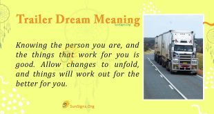 Trailer Dream Meaning