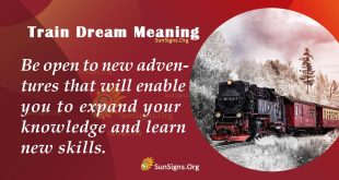 Train Dream Meaning