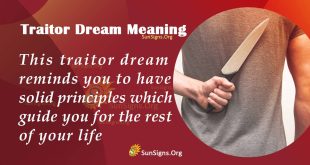 Traitor Dream Meaning