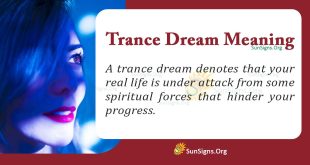 Trance Dream Meaning