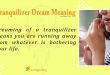 Tranquilizer Dream Meaning