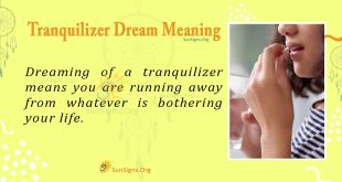 Tranquilizer Dream Meaning