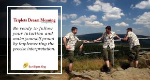 Triplets Dream Meaning