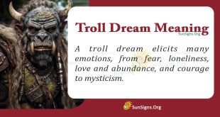 Troll Dream Meaning