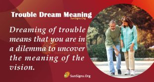 Trophy Dream Meaning